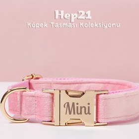 Resim Dog Collar Named Pink Velvet Collar 240723 - Bag / XS 