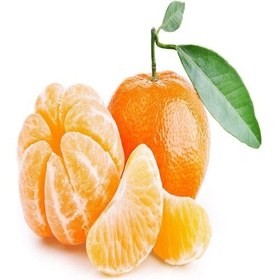 Resim Tüplü Aşılı Meyve Yüksek Nova Mandalina Fidanı 