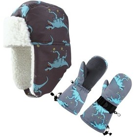 Resim Su Geçirmez Erkek Çocuk Bere Eldiven Set 2-4 Yaş Kayak Snowboard Bere Eldiven Gri Mavi Dino 