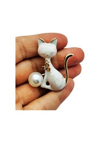 Resim Asil Kedi Broş Çok Renkli 
