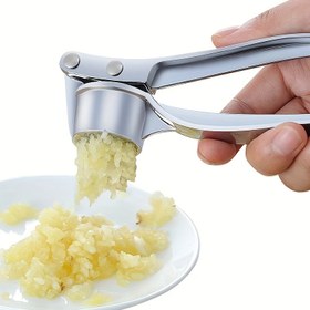 Resim Elle kullanılan bir adet metal sarımsak ezici, zencefil ve mutfak gereçleri 