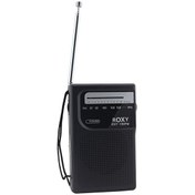Resim RXY-150 Cep Tipi Pilli Mini Analog FM Radyo Roxy