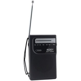 Resim RXY-150 Cep Tipi Pilli Mini Analog FM Radyo 