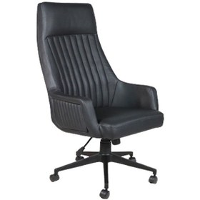 Resim Comfort Deri Makam Koltuğu Siyah 