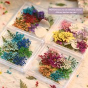 Resim 4 Kutu/set Doğal Kurutulmuş Çiçek Mini Petal Dekorasyonları, Karışık Renkler, Düzensiz Şekiller, Bitki Malzemesi Çiçek Stickerları DIY El Sanatları Manikür Aksesuarları, Taze Stil Tırnak Sanatı Çıkartmaları 