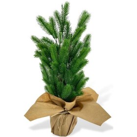Resim Yılbaşı Ağacı Yapay Çam Ağacı Kraft Saksıda 55cm 