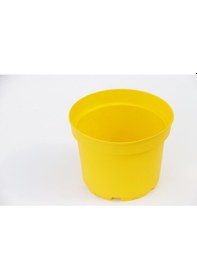 Resim Sarı Limon Saksısı 5 Adet ( 3 Litre ) 