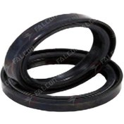 Resim Falcon Krank Keçesi-salvador 188 