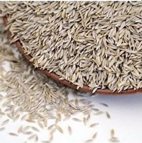 Resim Aktar Store Marul Tohumu 250 Gr 