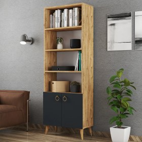 Resim Ferniso Çocuk Odası Salon Ofis Çalışma Dosya Çok Amaçlı Kapaklı Kitaplık 