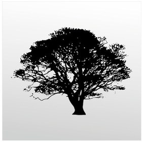 Resim Folyo Sticker Ağaç Adkpquy114 200cm Uzunluk Siyah 