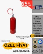 Resim ELİT YANGIN VE GÜVENLİK SİSTEMLERİ 2 KG otomatik pano söndürme tüpü 