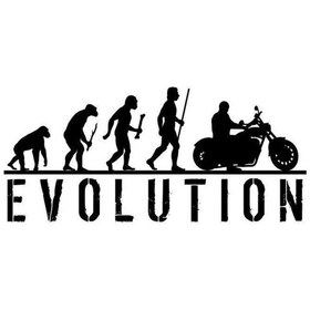 Resim Evolution -arac,oto,laptop,duvar Uyumlu Sticker 20 8 