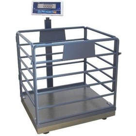 Resim Hcw 600 KG x 200 Gr 80 x 90 Canlı Hayvan Baskülü Küçük Baş 