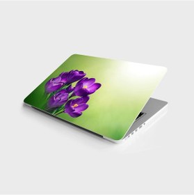 Resim Laptop Sticker Bilgisayar Notebook Pc Kaplama Etiketi Mor Lale 