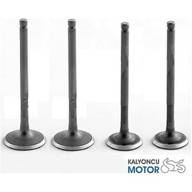 Resim Kanuni Tiger 250 Subap Takımı 