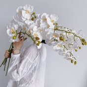 Resim 2/5 adet Gerçek Dokunuşlu Yapay Phalaenopsis Çiçek Dalları, Yapay Phalaenopsis Çiçekleri, Ev Ofisi Düğün Dekorasyonu, Parti Düğün Dekorasyonu için Uygun 70.0cm 