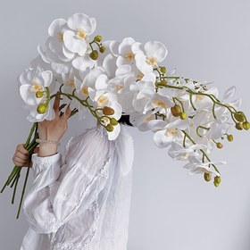Resim 2/5 adet Gerçek Dokunuşlu Yapay Phalaenopsis Çiçek Dalları, Yapay Phalaenopsis Çiçekleri, Ev Ofisi Düğün Dekorasyonu, Parti Düğün Dekorasyonu için Uygun 70.0cm 