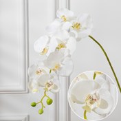 Resim Zarif 9 Başlı Beyaz Orkide Yapay Çiçek Düzenlemesi - Plastik Phalaenopsis Seti, Ev Dekorasyonu İçin Uygun, Sevgililer Günü - Tüm Mevsimler için Sahte Çiçekler Dış Mekan Bahçe Süsleme, Masaüstü - Noel, Paskalya, Şükran Günü Kutlamaları - Kap Dahil Değildir 