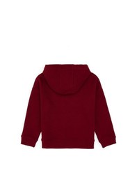 Resim U.s. Polo Assn. Erkek Çocuk Bordo Sweatshirt 50313941-vr014 Bordo 