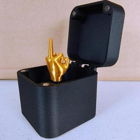 Resim Meanyou Şaka Orta Parmak Kutusu - Middle Finger Gift Box 