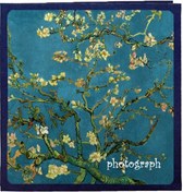 Resim Retro Sanat Dıy El Yapımı Fotoğraf Albümü Kendinden Yapışkanlı Film Albümü, Renk: 18 İnç Kayısı Çiçeği 30 Beyaz Kart İç Sayfa 