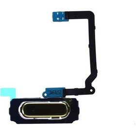 Resim Samsung Uyumlu Galaxy S5 G900 Home Tuş Bordu Filmi Gold 