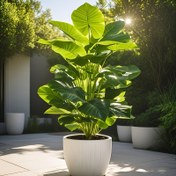 Resim 1 Büyük Yapay Monstera Bitkisi - 18 Büyük Yaprak, Çok Yönlü Sahte Yeşillik, Kuzey Tarzı Saddle Yaprak, Tropikal Yağmur Ormanı Dekoru Bahçe Patio Ev Oturma Odası Düğün Otel, Paskalya, Anneler Günü, St. Patrick Günü ve Ramazan için İdeal - Konteyner Gerektirmez, Standalone Gösterim, Çok Fonksiyonlu Oda Aksesuarı | Mimari Tarz Yeşil Foliye | Dekoratif Bitki 