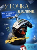 Resim Hillar Aracın İçinde Kasklı Ve Gözlükleri Olan Ördek 431014597 