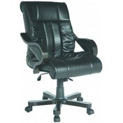 Resim Koltukstilim Pointes Deri Yönetici Koltuğu Makam Koltuğu Diğer 