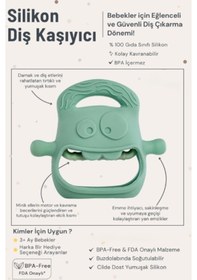 Resim Koyu Yeşil Bebek Silikon Diş Kaşıyıcı Çok Renkli 