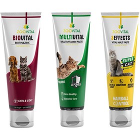 Resim Zoovital Malt Paste Kedi Macunu 100 Gr + Multivitamin 100 Gr + Biotin Past 100 Gr 