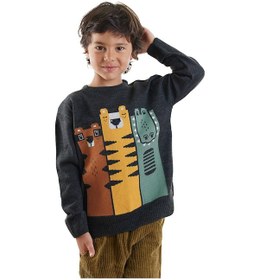 Resim Denokids Hayvanlar Erkek Çocuk Triko Kazak Renkli 