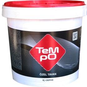 Resim Filli Boya Tempo Özel Tavan 10 kg 