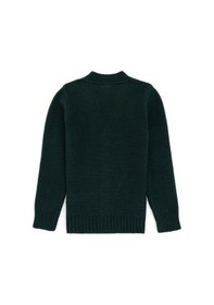 Resim U.S. Polo Assn. U.s. Polo Assn. Erkek Çocuk Koyu Yeşil Hırka Triko 50317150-vr079 Koyu Yesıl 
