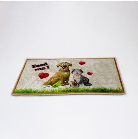 Resim Pikas Kedi Köpek Paspası 53 x 31 CM 