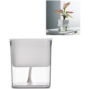 Resim Yeşil Turp Hidroponik Flowerpot Plastik Şeffaf Gözeneksiz Bitki Otomatik Su Emilimi Etli Flowerpot Translucent 