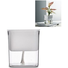 Resim Yeşil Turp Hidroponik Flowerpot Plastik Şeffaf Gözeneksiz Bitki Otomatik Su Emilimi Etli Flowerpot Translucent 