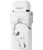 Resim Armaf Caballo Edp 100 Ml Erkek Parfümü Aromatik 