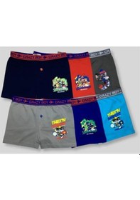 Resim Tutku Erkek Çocuk Baskılı 6'lı Paket Pamuklu Boxer Çok Renkli 