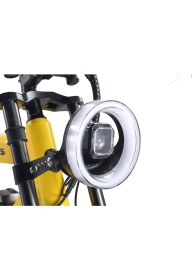 Resim Ape Ryder Colobus Premıum 750W - Sarı 