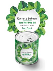 Resim Pazarcan Evde Roka Yetiştirme Kiti - İri Yapraklı Konserve Bahçem 