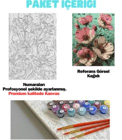 Resim Su'lepas Sayılarla Boyama Seti Numaralı Tuval Fırça Boya KIRMIZI PEMBE BEGONVİL 40X50 Cm 