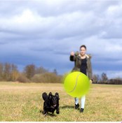 Resim Vkemall 9.5 İnç Tenis Topu Ve Hava Pompa Seti - Yeşil Renk, Felt Ve Kauçuk Malzeme İle Spor Zamanı İçin 