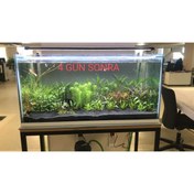 Resim Shark 63 Cm (70-75 CM UYUMLU) Fullspectrum 4 Renk Armatür 3 Sıra Osram Marka Ledli 2970 Lümen 