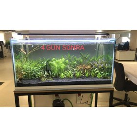 Resim Shark 63 Cm (70-75 CM UYUMLU) Fullspectrum 4 Renk Armatür 3 Sıra Osram Marka Ledli 2970 Lümen 