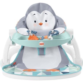 Resim Fisher Price Tepsili Ana Kucağı 