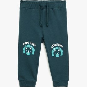 Resim Erkek Bebek Pamuklu Dinozor Baskılı Beli Bağcıklı Şardonlu Jogger Eşofman Altı 