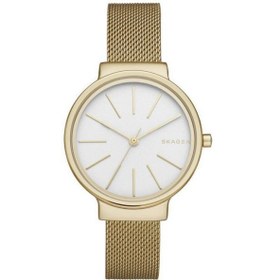 Resim Skagen SKW2477 Kadın Kol Saati 