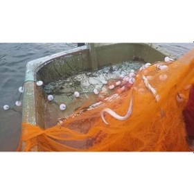 Resim Yelpaze Toyo 110 D/2 Denye 50 Göz Ip Balık Ağı Kıl Ağ (200 Mt) 